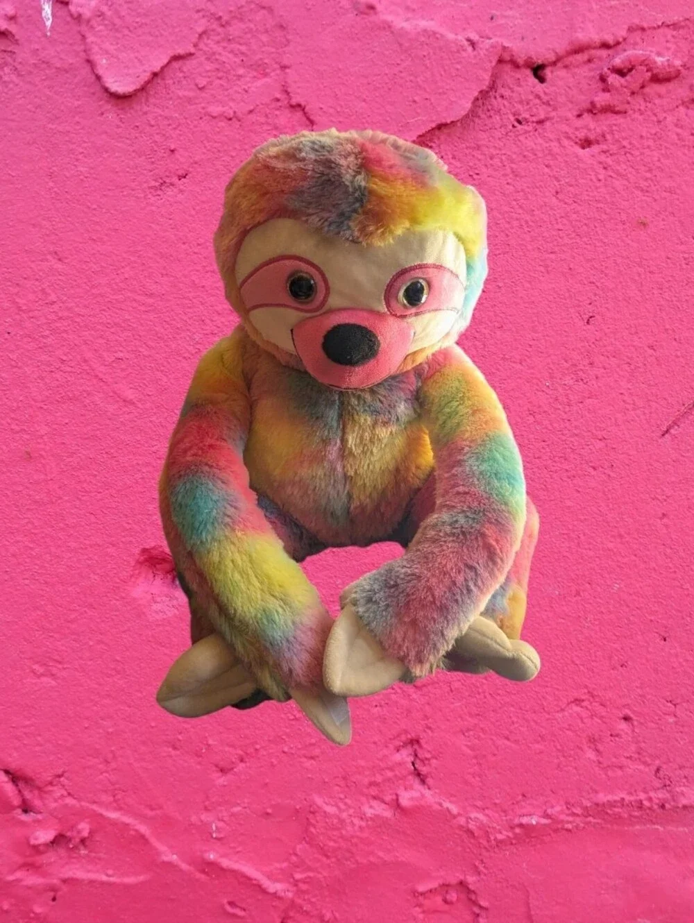 Rainbow 23